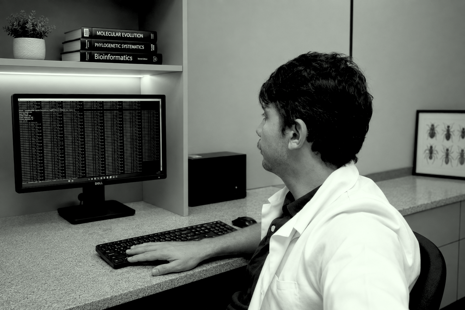 Tiago Belintani working at a bioinformatics workstation
